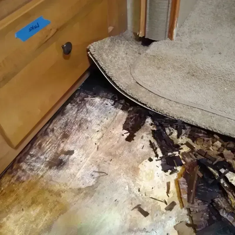 Best Wood Floor Water Damage Service in Windsor, PA